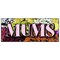 Signmission MUMS BANNER SIGN flower florist shop shoppe plants rose plant supplies B-96 Mums - alternate 1